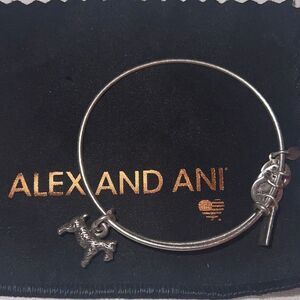 Alex
and Ani Bracelet - feel free to bundle with other Alex and Ani!